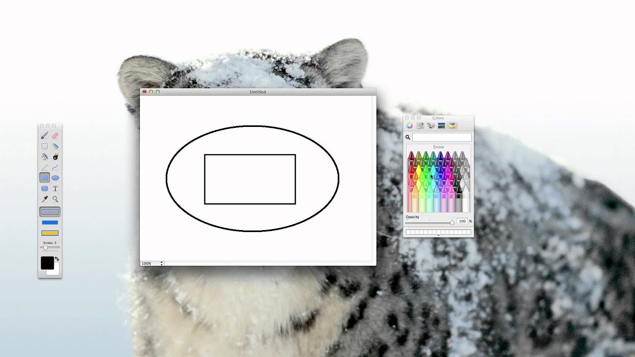 instal the new for apple Paint.NET 5.0.11